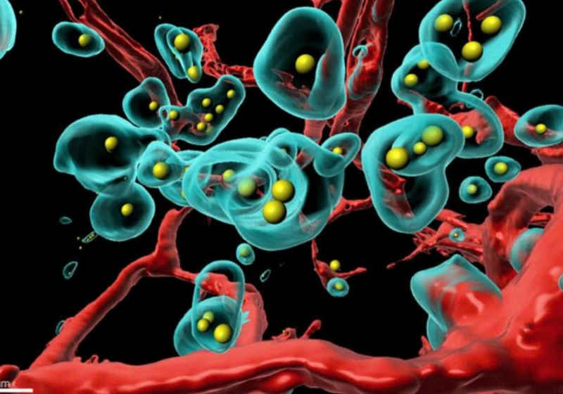 Foto: Plückthun Lab