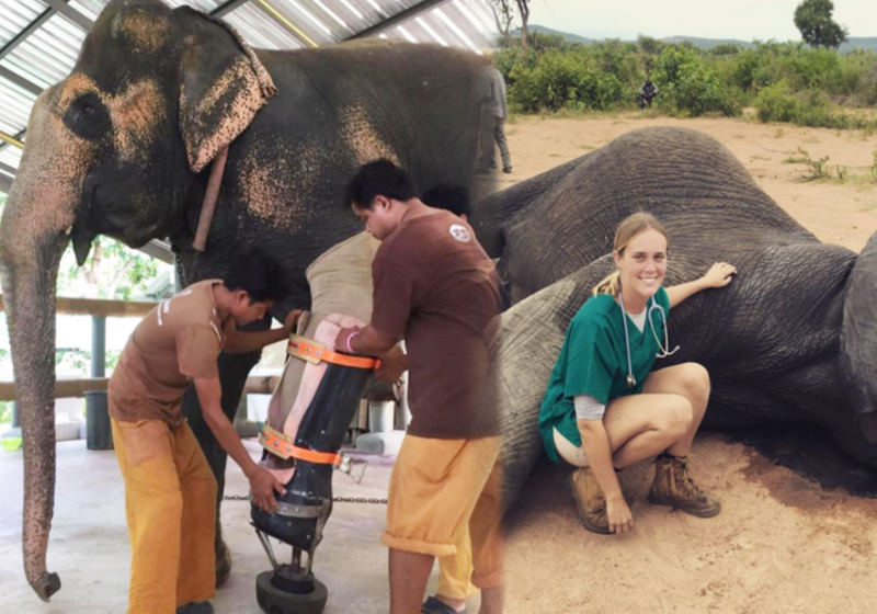 Foto: Sydney News Today