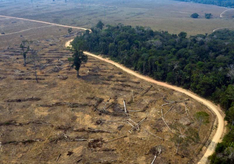 Proteção de áreas naturais avançou devido ações das metas AICHI. - Foto: CARLOS FABAL / AFP