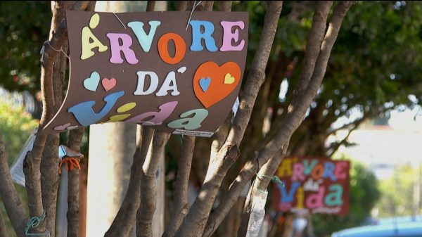 Arvore da Vida - Foto: Reprodução/EPTV