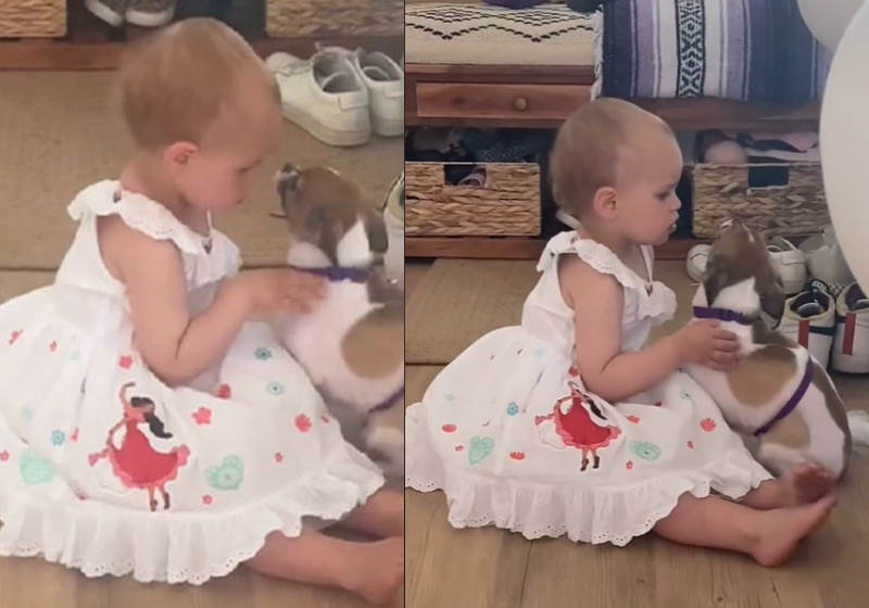 Foto: reprodução Tik Tok