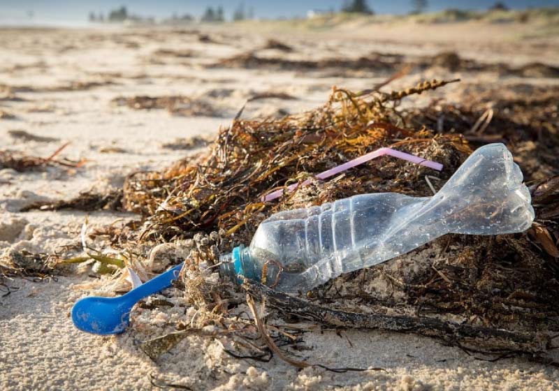 O plástico descartável não poderá mais ser descartado em lixo comum. - Foto: Pixabay