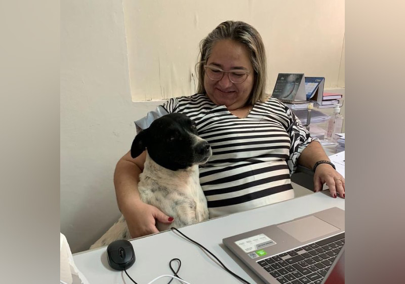 O cão foi adotado por funcionários da prefeitura e agora vive cheio de amor. - O 55 ama abraços - Hora da refeição. Foto: reprodução Instagram