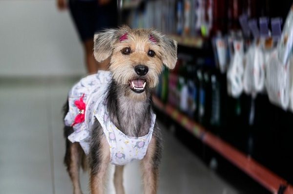 Lobinha, 3 anos. - Foto: Samanta Figueiredo