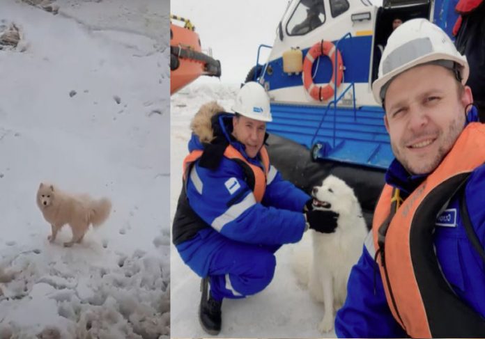 cao_resgate Foto: Gazpromneft-Yamal