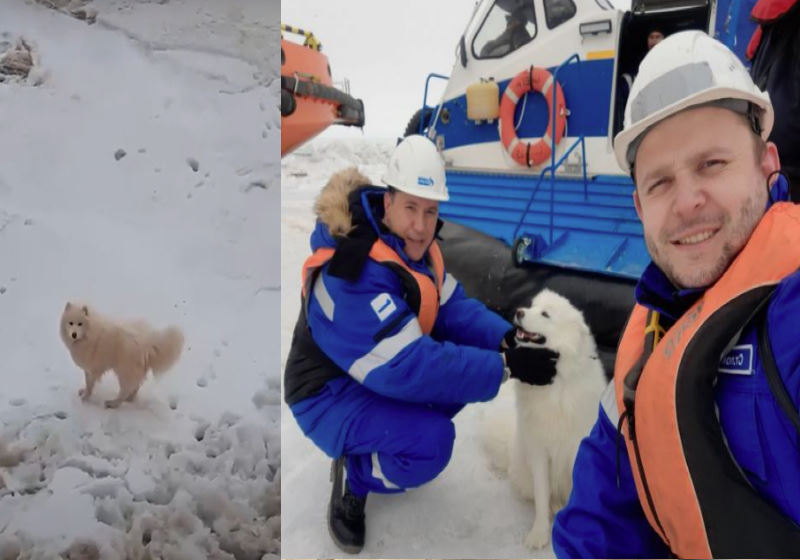 Foto: Gazpromneft-Yamal