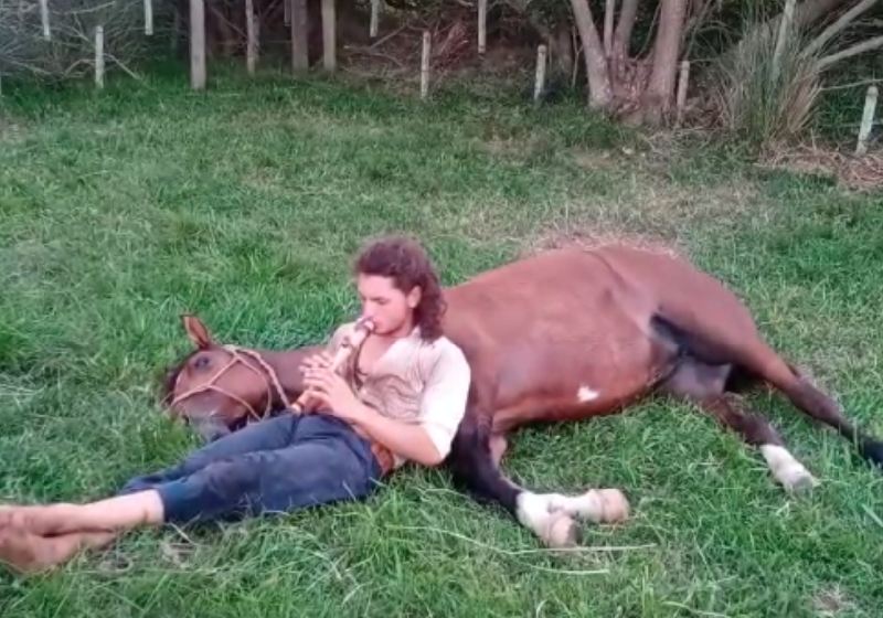 Guto Petry tocando flauta para o cavalo - Foto: reprodução