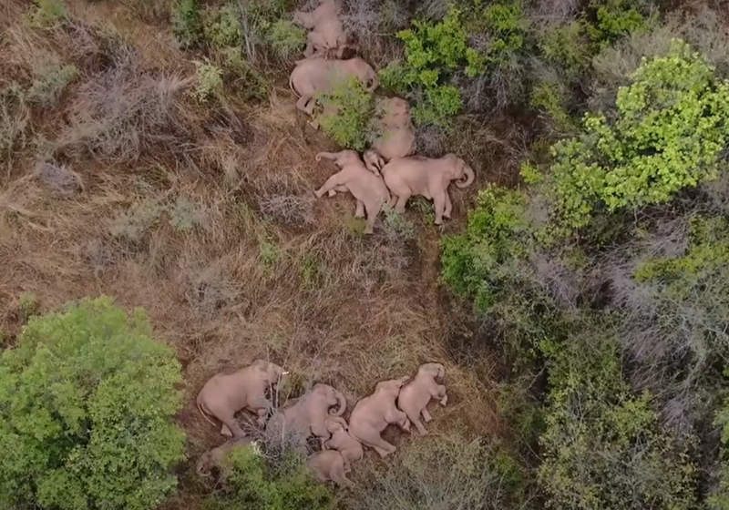 Foto: reprodução YouTube