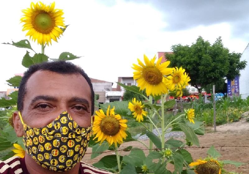 O homem que plantou 500 pés de girassóis no CE para homenagear a amada - Foto: Arquivo pessoal