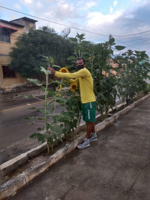 João em uma das plantações no meio da rua - Foto: arquivo pessoal