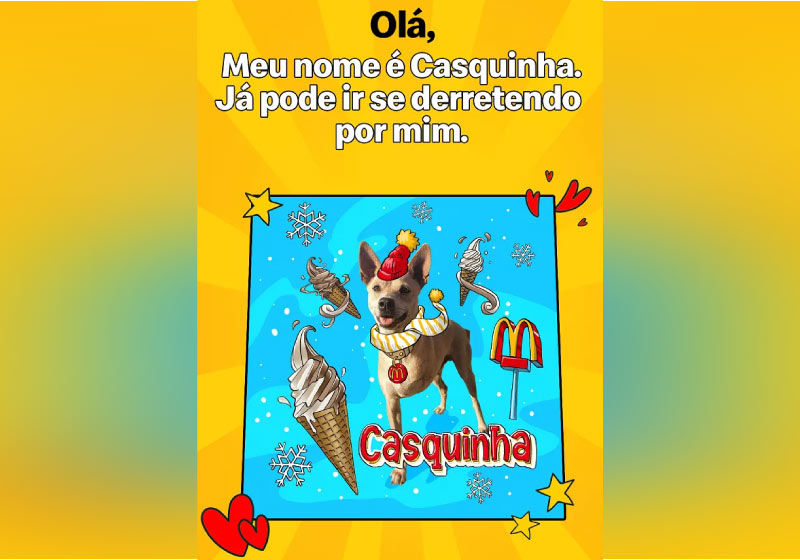 McDonalds batiza pets com nomes de lanche para incentivar adoção - Foto: divulgação