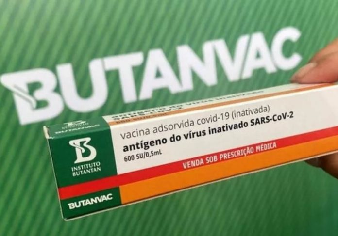 vacina_butanvac Foto: Instituto Butantan