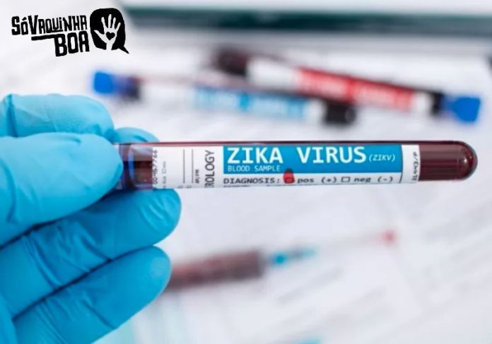 zika uol capa UOL falou da campanha Zika/Câncer do Só Vaquinha Boa - Foto: iStock/UOL