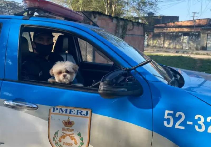 O cachorrinho Billy foi devolvido no dia seguinte à família - Foto: divulgação / PMRJ