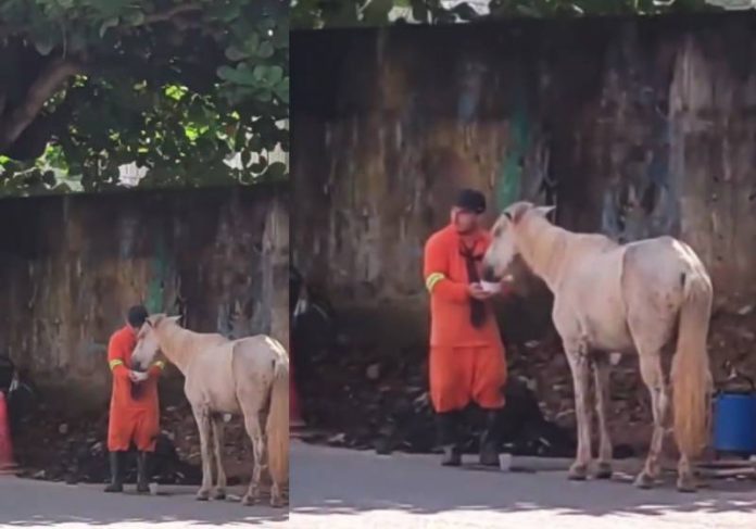 O gari parou o serviço dele quando viu o cavalo passando mal de sede e levou água - Foto: reprodução / Instagram