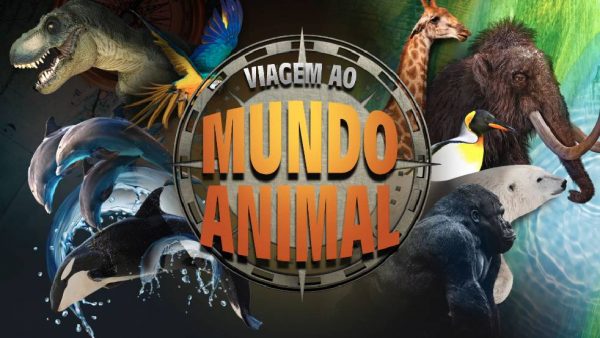 O safari virtual estreia dia 7 de agosto em Brasília - Foto: divulgação