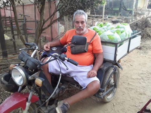 Paulo distribui alface na cidade - Foto: arquivo pessoal