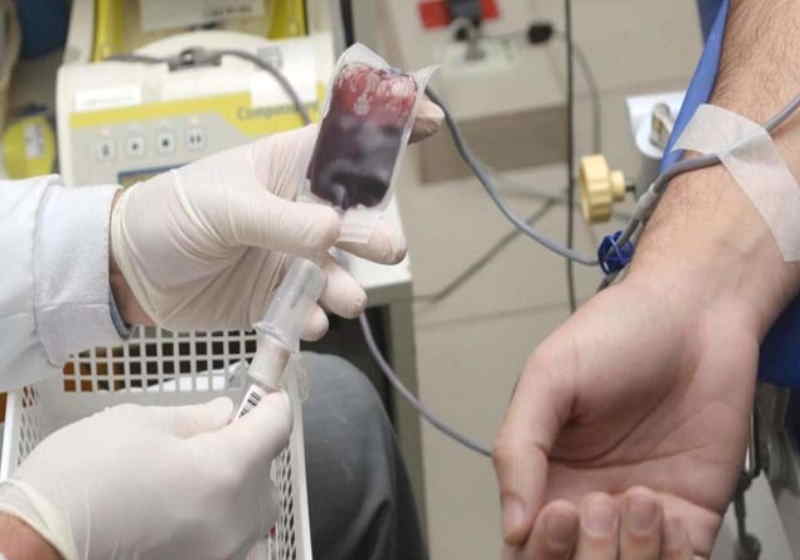 Universitários da UEM, Unicamp e PUC, se unem para doar sangue e salvar vidas - Foto: UEM