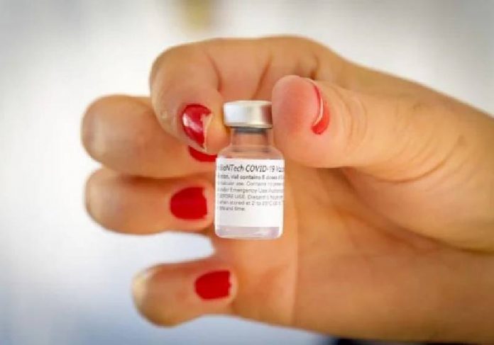 A vacina da Pfizer contra covid-19 será produzida no Brasil pela Eurofarma - Foto: Igo Estrela/Metrópoles