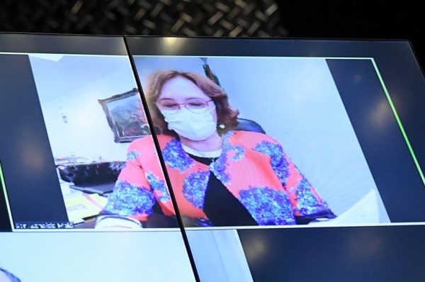 O relatório da senadora Zenaide Maia foi aprovado sem mudanças e segue para sanção - Foto: Agência Senado
