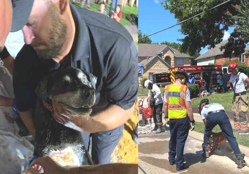 Zoey é retirada do bueiro depois de 10 horas de trabalho dos bombeiros Foto: SWNS