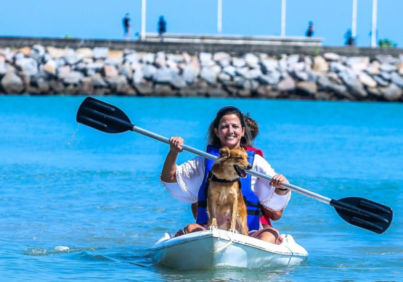 Projeto quer tornar Fortaleza a primeira cidade do Brasil com política pública para o turismo com animais de estimação - Foto: Divulgação