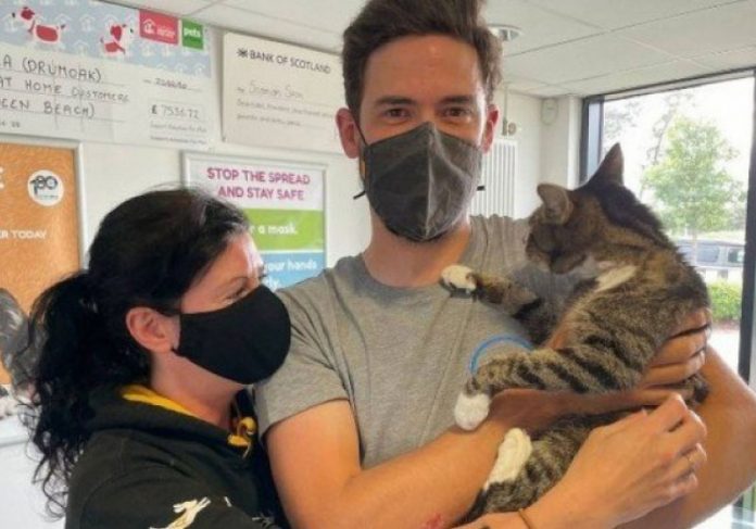 gato-desaparecido-capa4 Casal recebeu uma ligação informando sobre o gato deles, desaparecido há 10 anos - Foto: arquivo pessoal