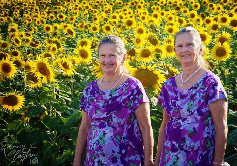 Idosas gêmeas no ensaio fotográfico na plantação de girassóis em Cerquilho - Foto: Ronny Clayton Fotografia