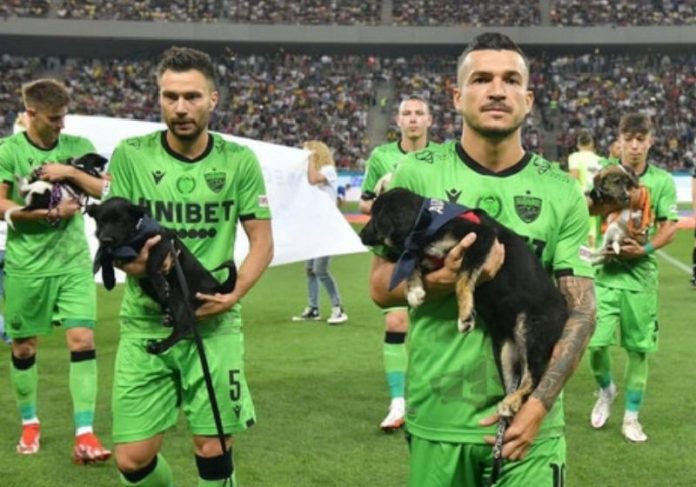 Jogadores da Romênia entram em campo com cães abandonados para incentivar a adoção - Foto: reprodução