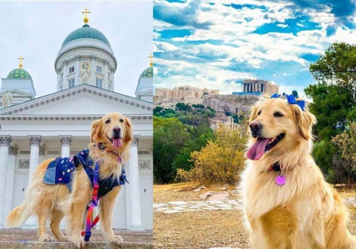 lilo-capa2 A cadelinha Lilo já viajou por 30 países com os tutores Lilo e os tutores Talita e Rubens - Foto: Reprodução/ Instagram @lilomochileira