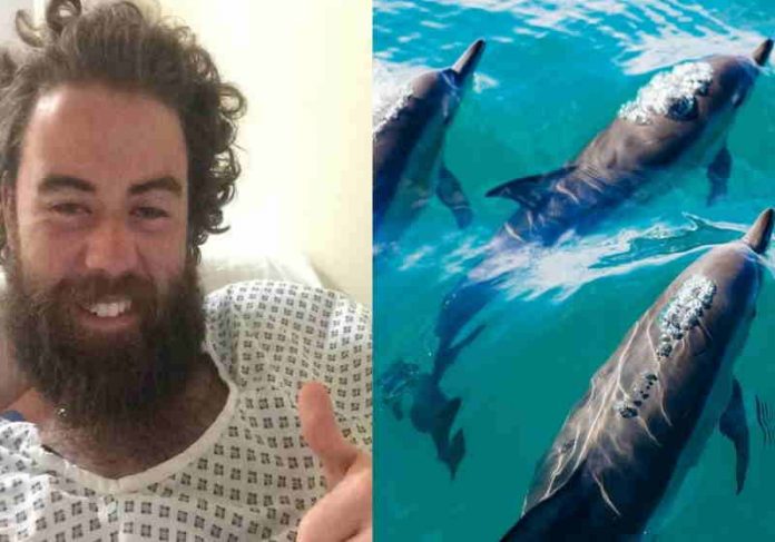 nadador_golfinhos Ruairi McSorley foi cercado por golfinhos que só o abandonaram após a chegada do resgate Foto: reprodução SundayWorld
