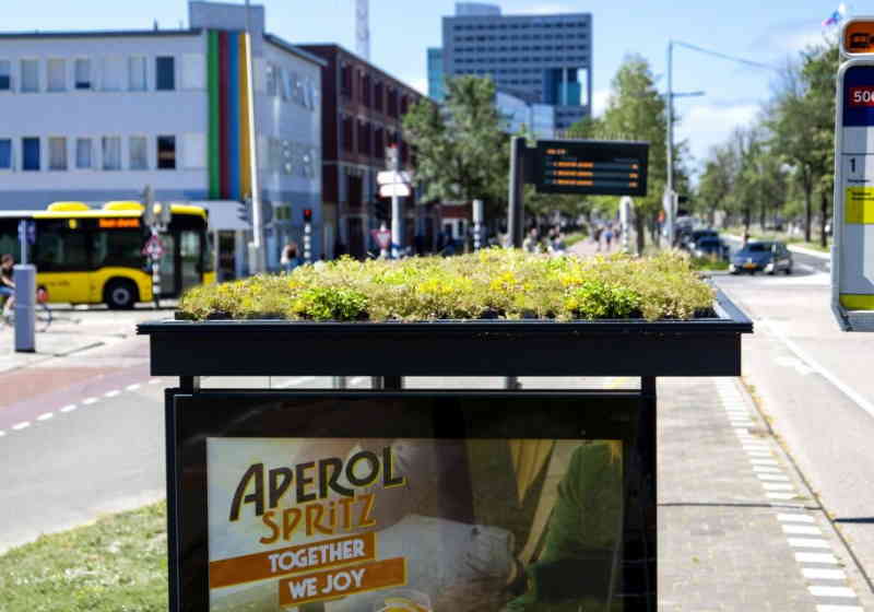 A cidade de Utresh, na Holanda, está transformando os pontos de ônibus em locais de polinização para abelhas Foto: Divulgação