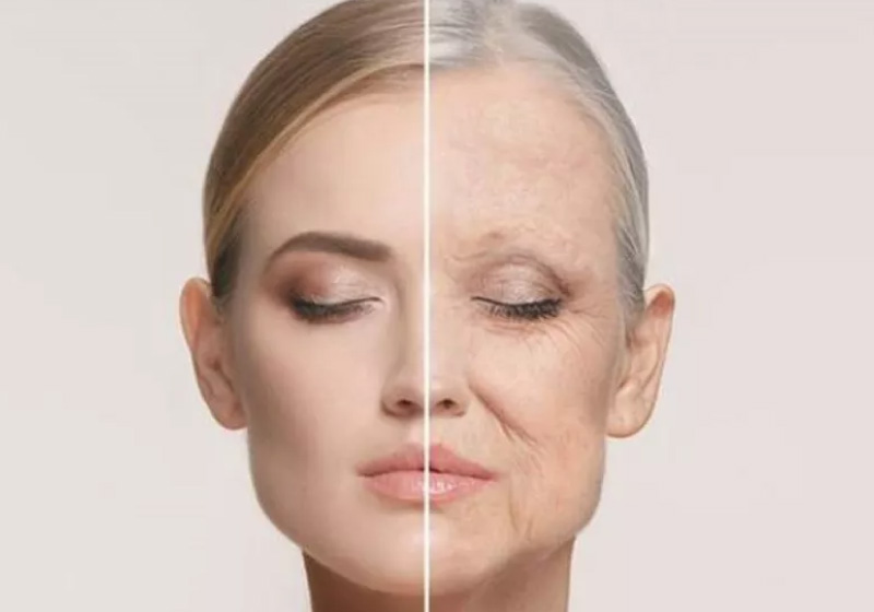 O teste brasileiro que aponta a idade biológica de uma pessoa é importante para influenciar nossa qualidade de vida - Foto: Pixabay