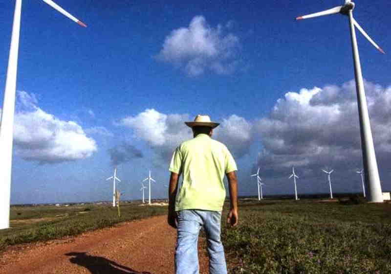 A energia eólica produzida no RN é fonte renovável mais barata e limpa Foto: Divulgação