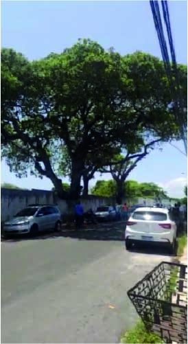 Foto: Gabriel Aguiar