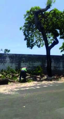 Foto: Gabriel Aguiar