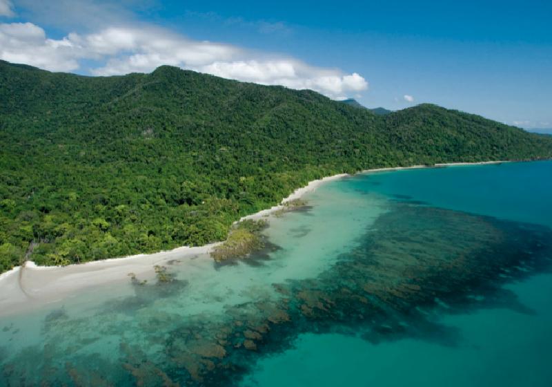 O Parque Nacional de Daintree, a floresta tropical mais antiga do mundo volta para aborígenes na Austrália - Foto: Aboriginal Corporation/Facebook