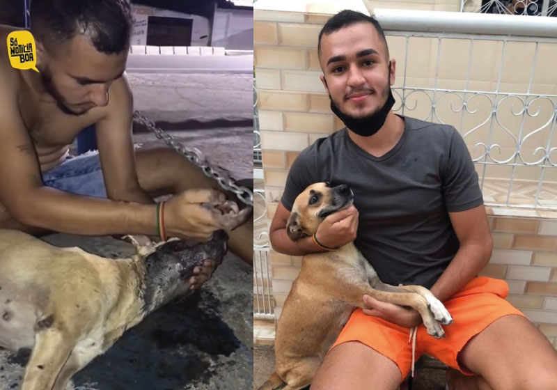 João Victor estava indo para uma festa quando foi chamado para socorrer a cachorra do envenenamento - Foto: Divulgação/Protetores de Quatro Patas