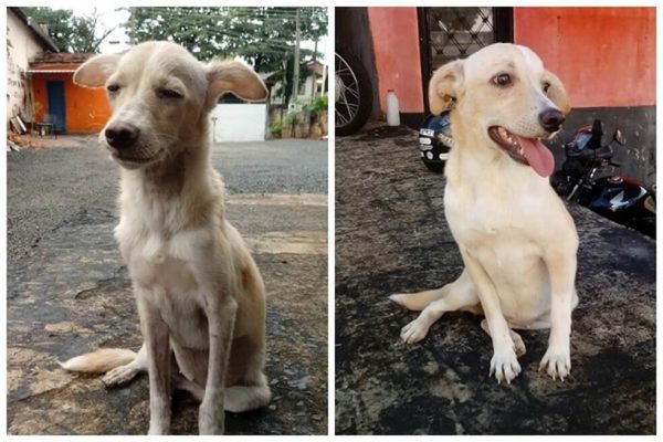 Agusta antes e depois do resgate - Foto: arquivo pessoal