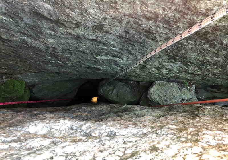 A cachorrinha passou 5 dias presa na rocha Foto: Ulster County SPCA