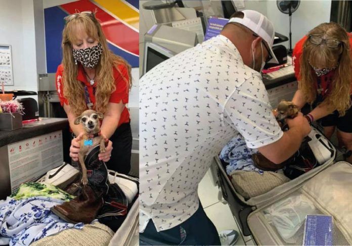 Icky foi descoberta na mala dos tutores já no aeroporto - Foto: Reprodução/Facebook/Jared Owens