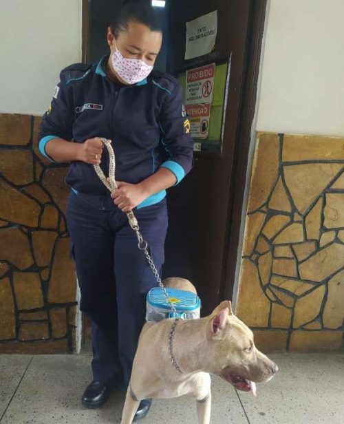 Baruk sempre atento ao lado da policial - Foto: Divulgação / SSPDS