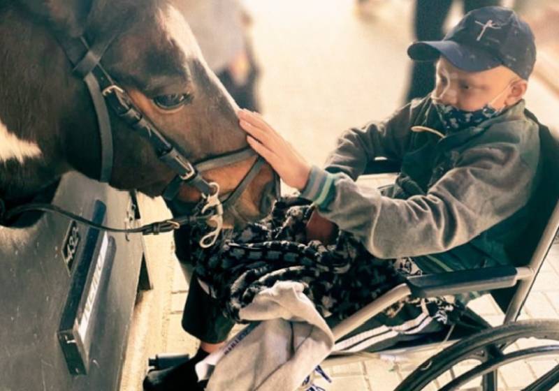 Bryan Amaro fez a 1ª visita a hípica em São Paulo que deu origem à ideia da pôneiterapia - Foto: Divulgação
