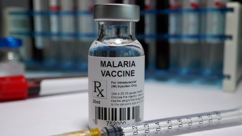 A vacina contra malária recém-aprovada é estudada desde os anos 1980 - Foto: Getty Images