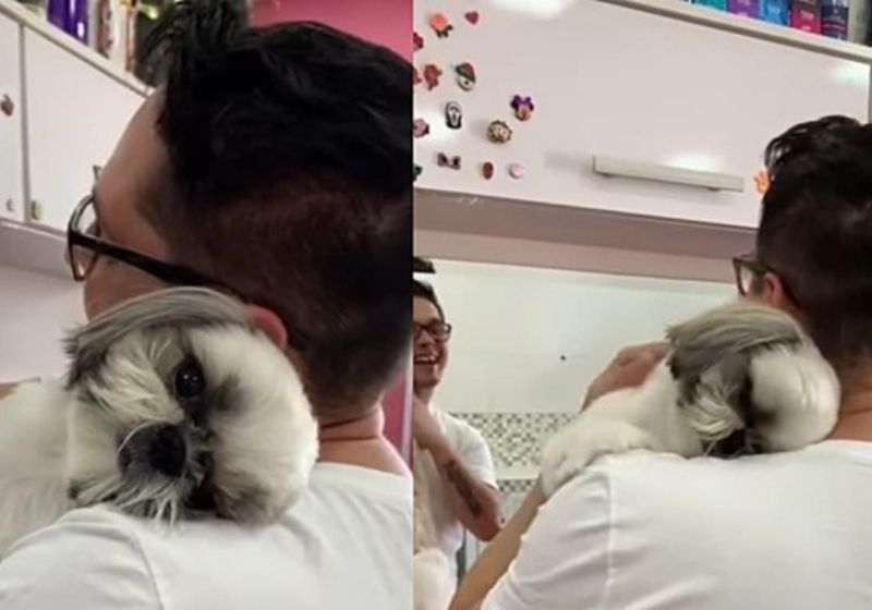 O cãozinhio gostou tanto do carinho que abraçou e deitou no ombro do tosador - Fotos: redes sociais