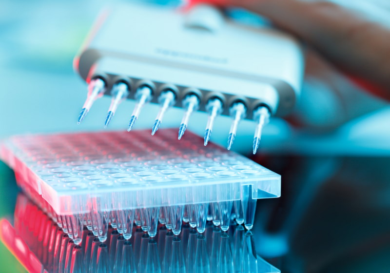 A vacina já está sendo testada no primeiro paciente na Finlândia e resultados saem em 2023 Foto: alzheimersnewstoday