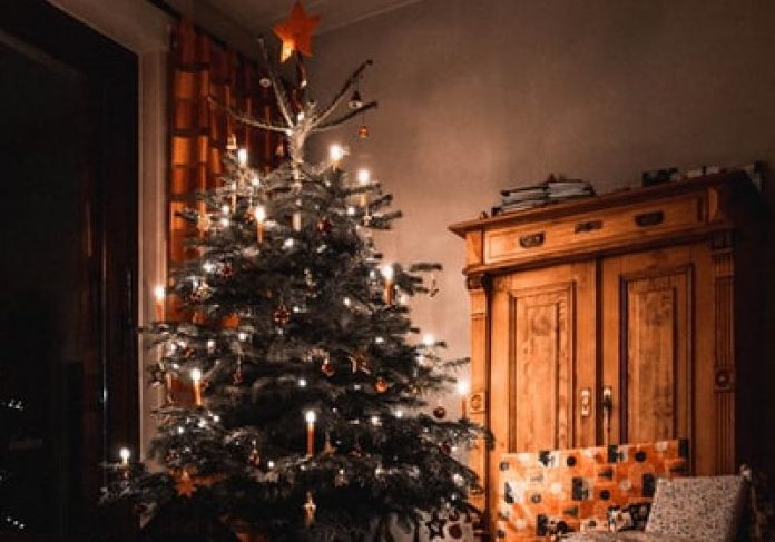 A tradição católica diz que o dia certo para montar a árvore de Natal é no 1º domingo do Advento - Foto: lasse bergqvist / Unsplash