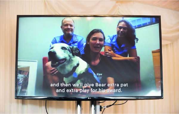 Bear foi homenageado em uma cerimônia online - Foto: reprodução