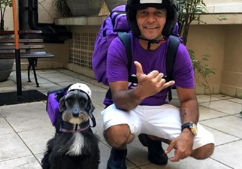A cachorrinha Ruby virou entregadora após ser resgatada pelo motoboy Miguel - Foto: Reprodução / Instagram / James Delivery