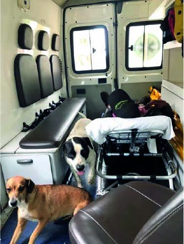 Cães entraram na ambulância para acompanhar tutor - Foto: Arquivo pessoal